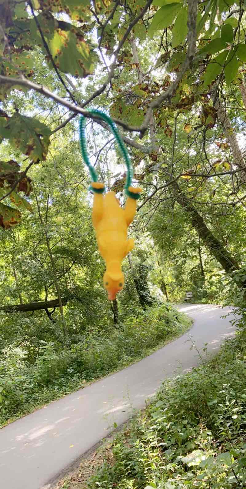 walking near me in Red Oaks Nature Center in winter