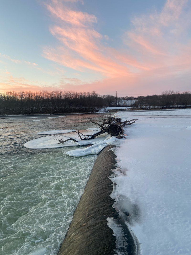 walking near me in Ben Williamson Park in winter