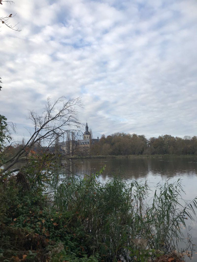 walking near me in Arenbergpark in winter
