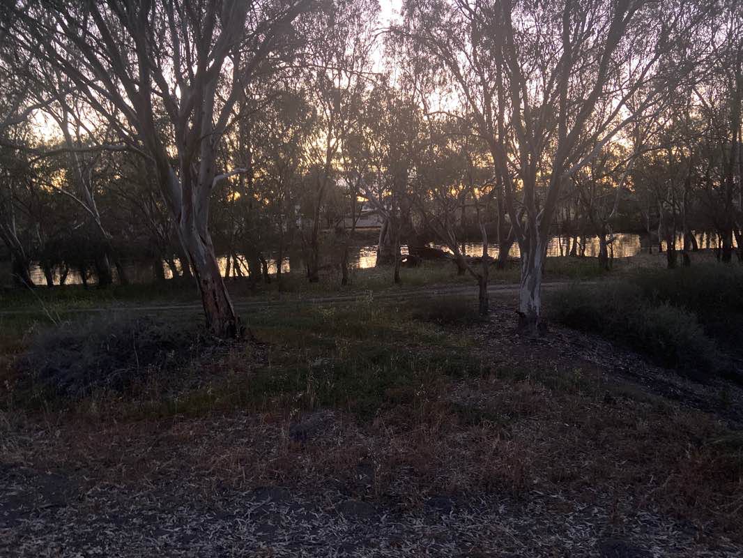 walking near me in River Reserve in summer