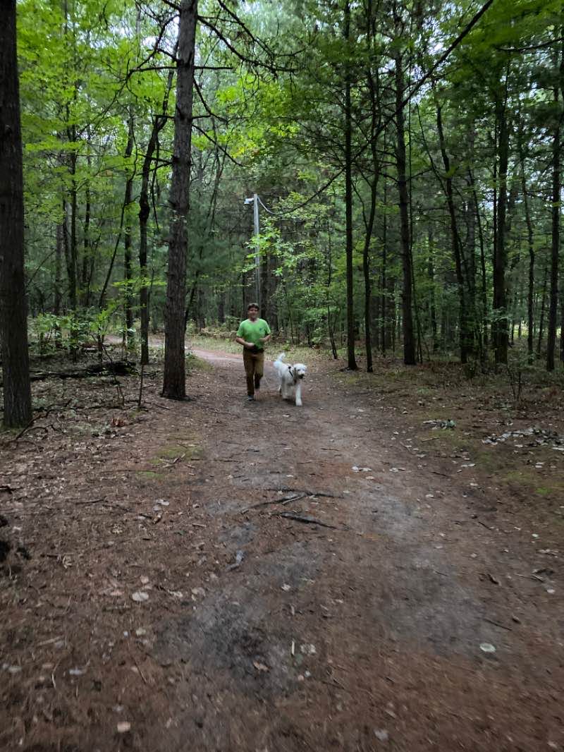 walking near me in Midland City Forest in winter