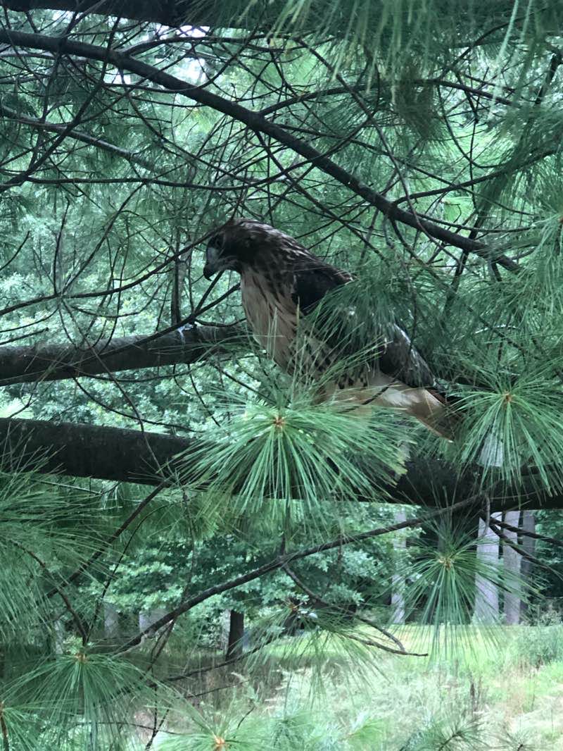 walking near me in Alumnae Valley in winter