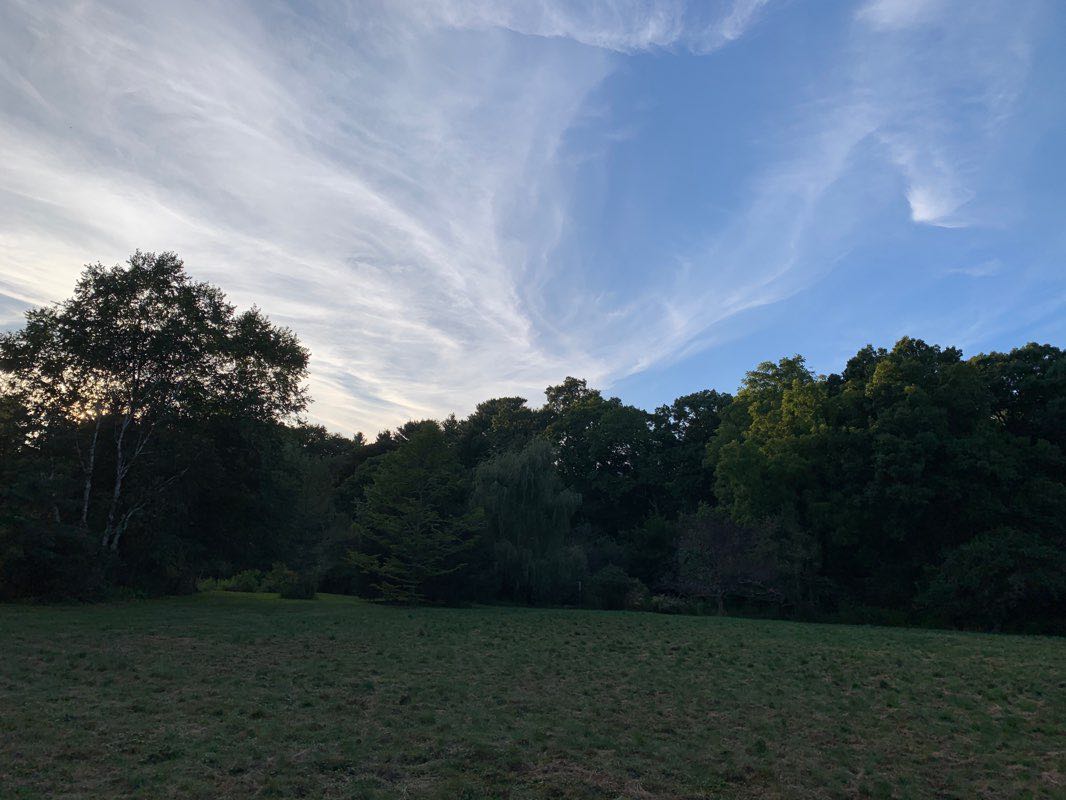walking near me in Alexandra Botanical Garden in winter