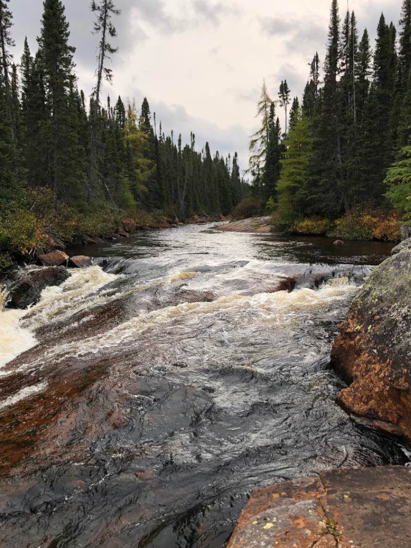 walking near me in Parc national des Grands-Jardins in winter