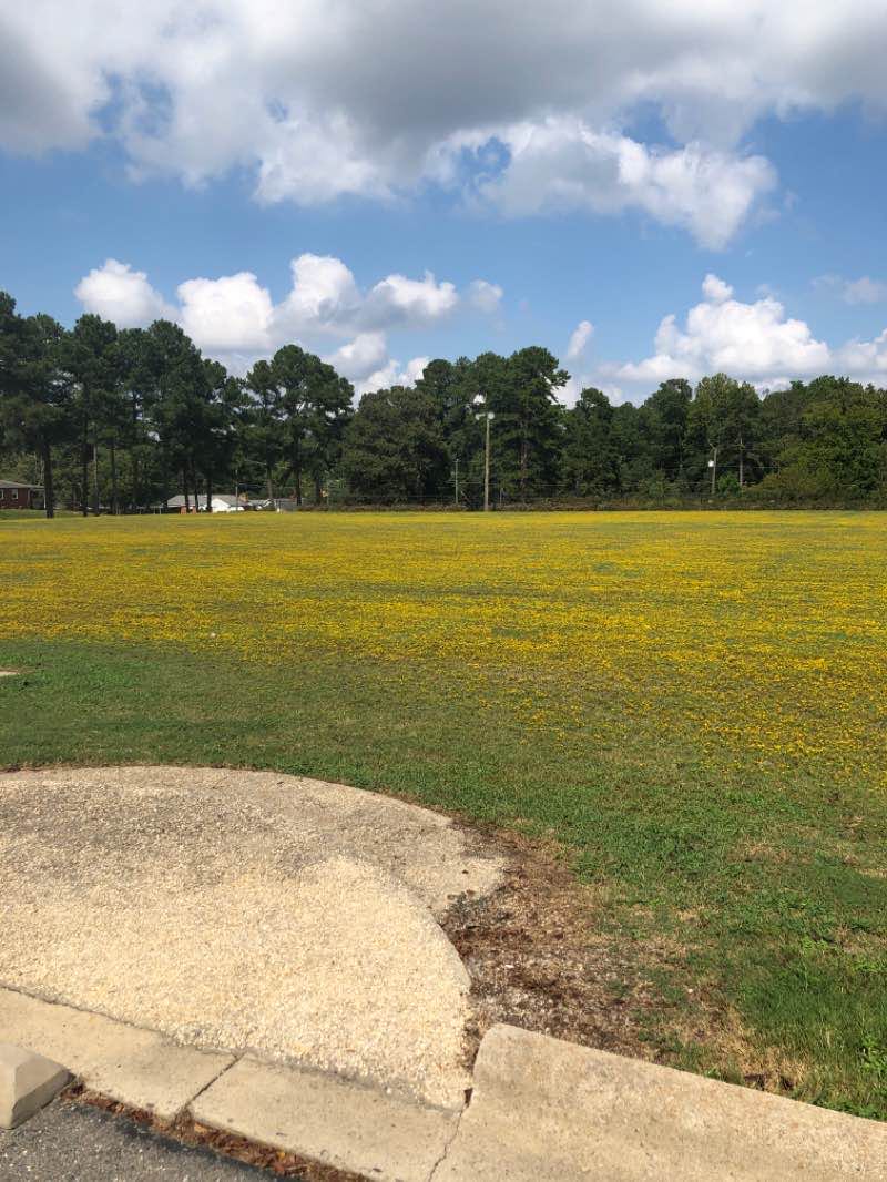 walking near me in Fayetteville State University Quad in winter