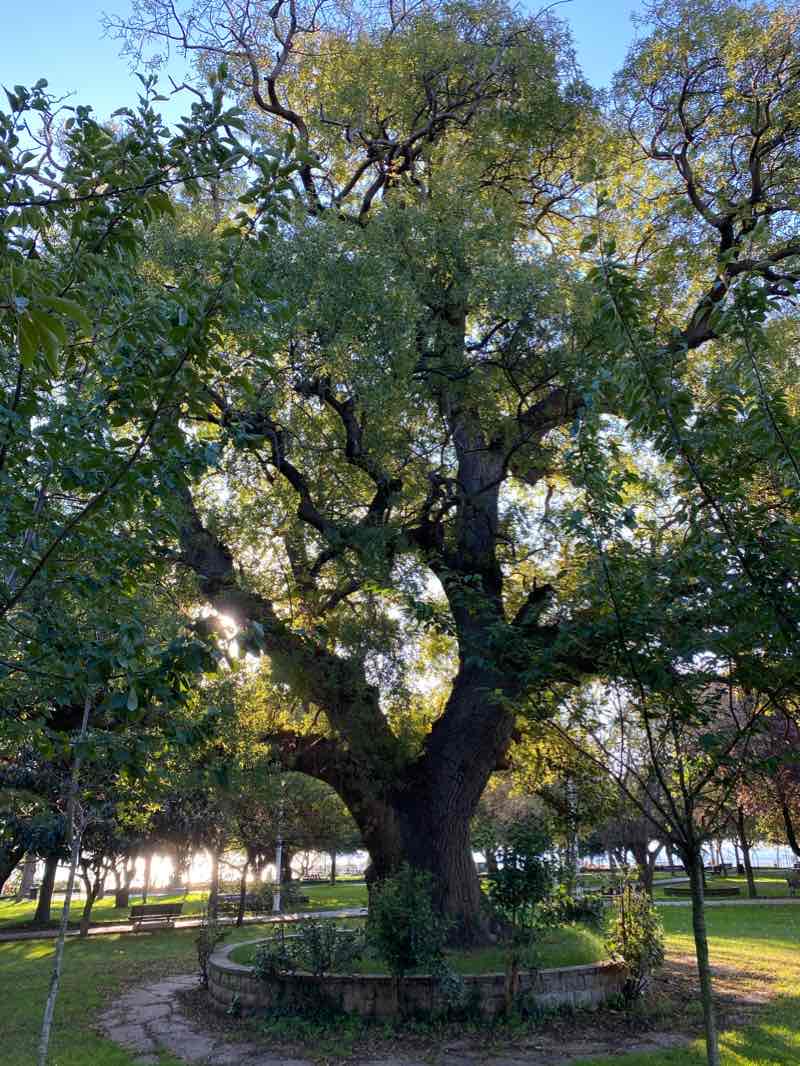 walking near me in Caddebostan Sahil Parkı in winter