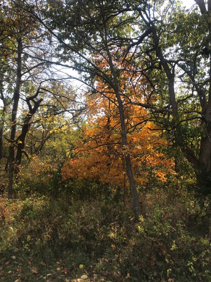walking near me in Clay County Park in winter