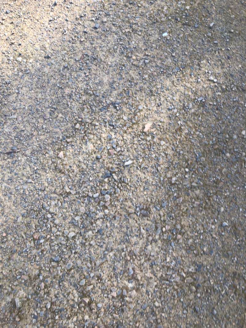 walking near me in Whanregarwen Bushland Reserve in summer