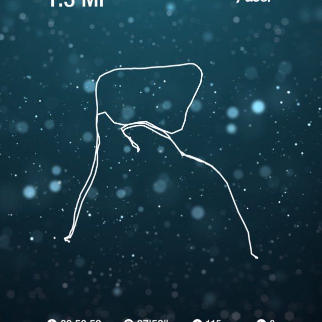 lunar morningstar post 1