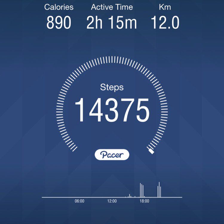 Selipar Arang post 1