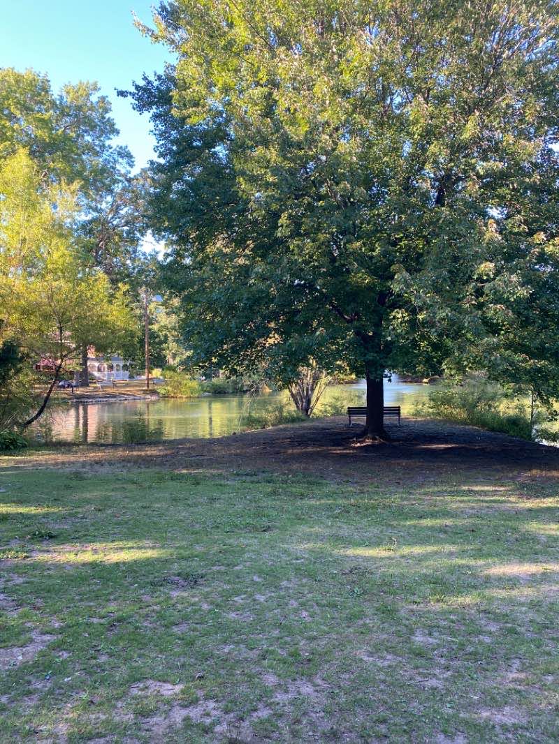 walking near me in Elizabeth Park in winter