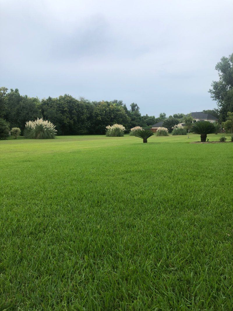 walking near me in Lost Creek Park in winter