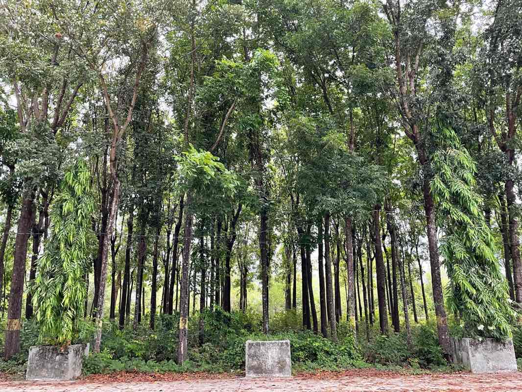 walking near me in Guimbal Riverside Park in winter