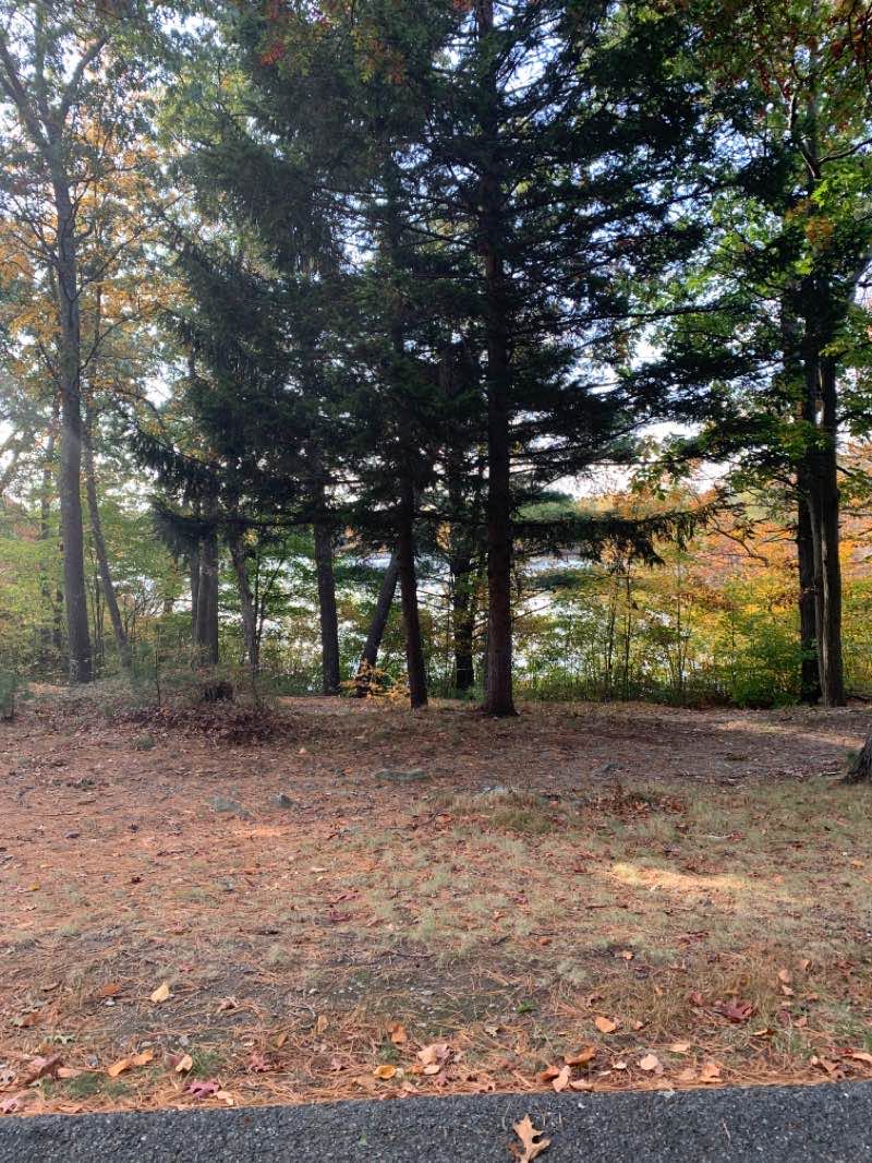 walking near me in D W Field Park in winter