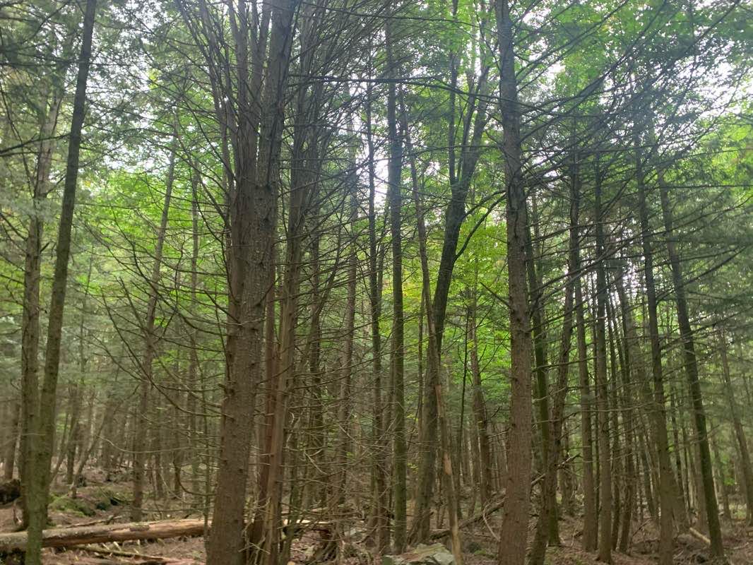 walking near me in Parc national de la Yamaska in winter