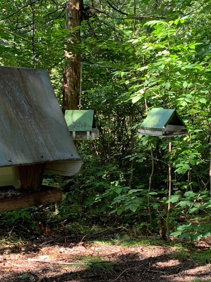 walking near me in Parc Valéro-Les Écarts in winter