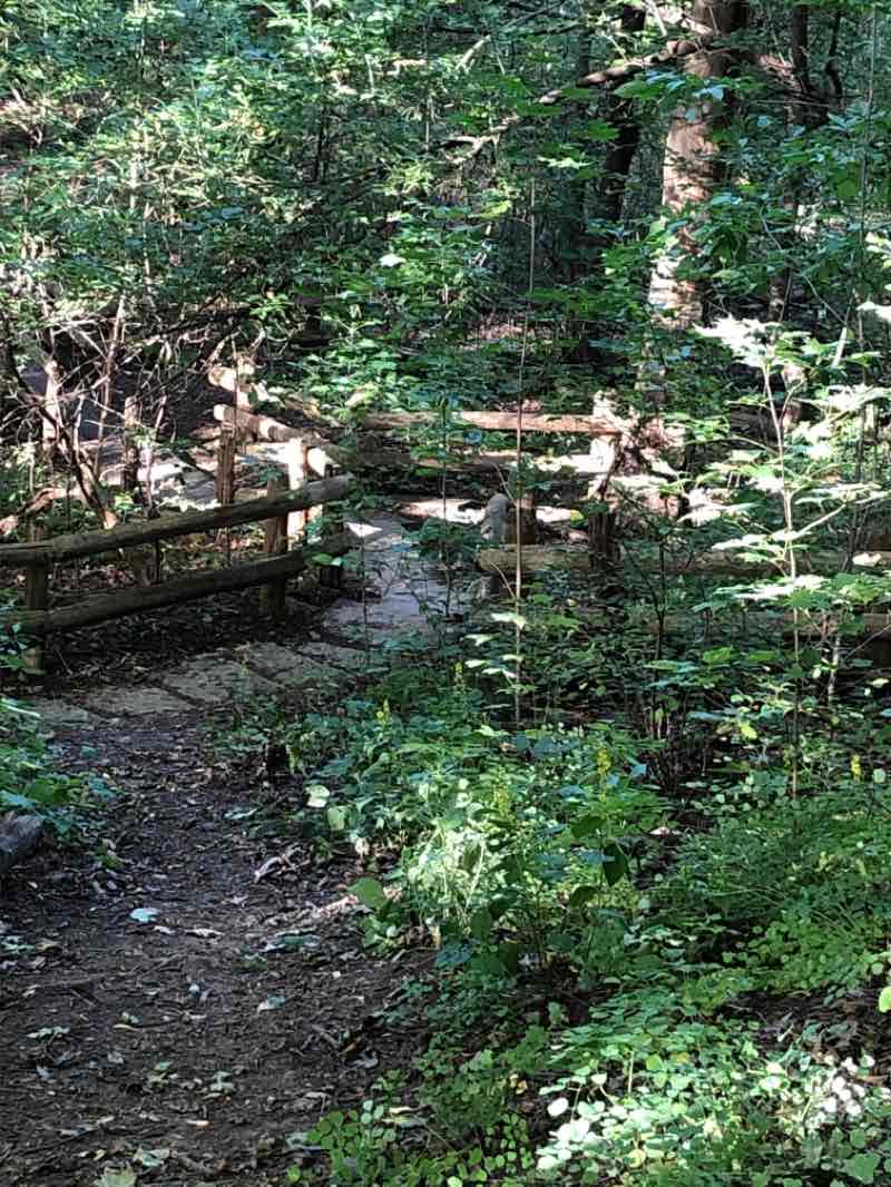 walking near me in Jacobus Park in winter