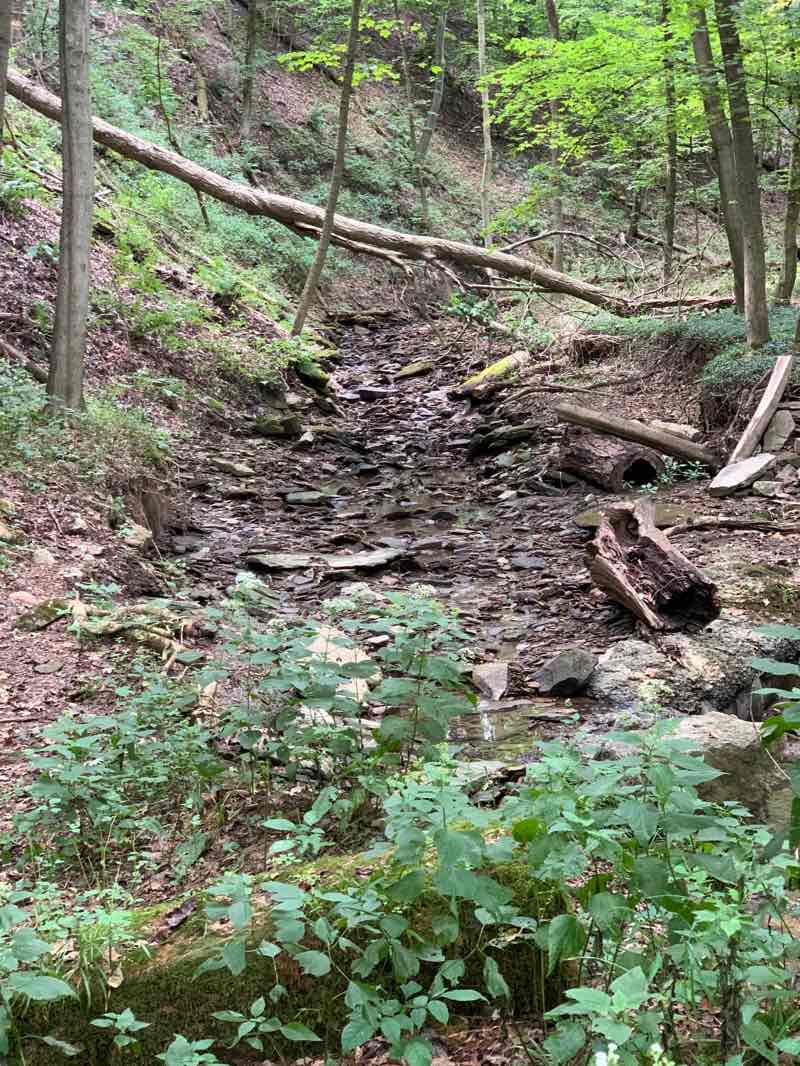 walking near me in Beatty Park in winter