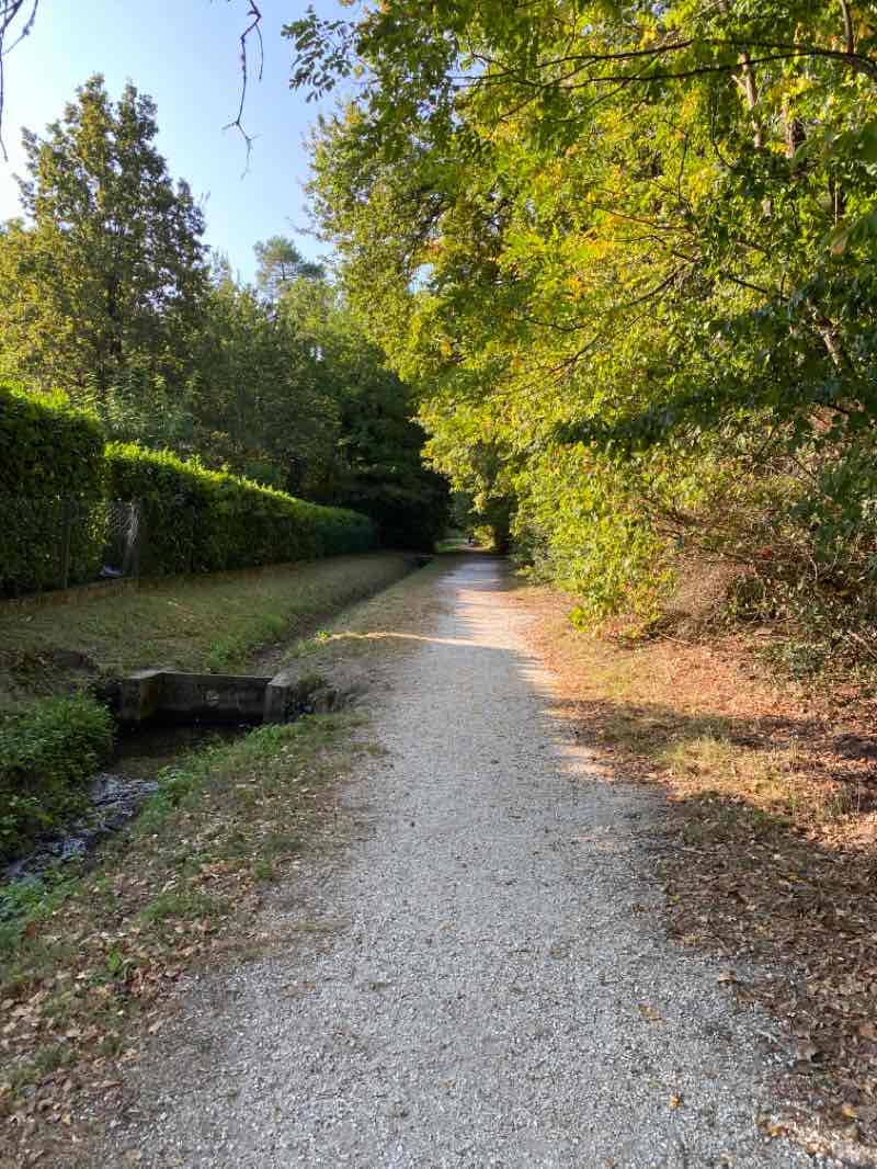 walking near me in Bois de Corbiac in winter