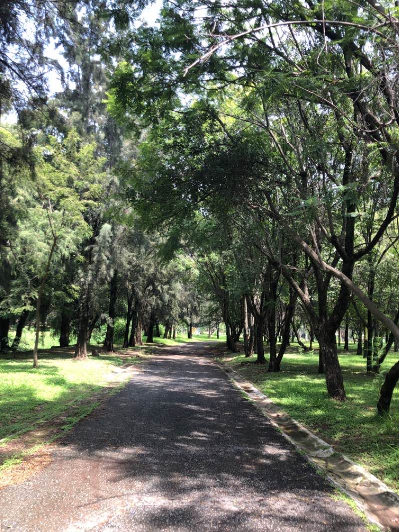 walking near me in Parque de la Solidaridad in winter