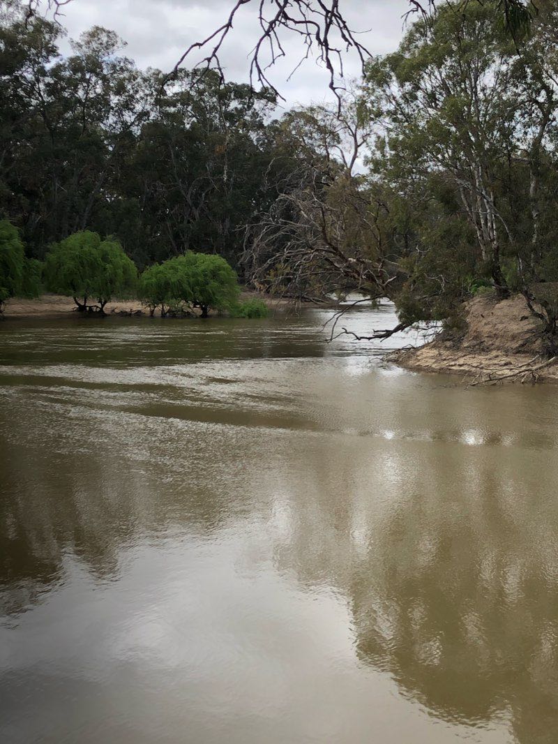 walking near me in Riverside Park in summer