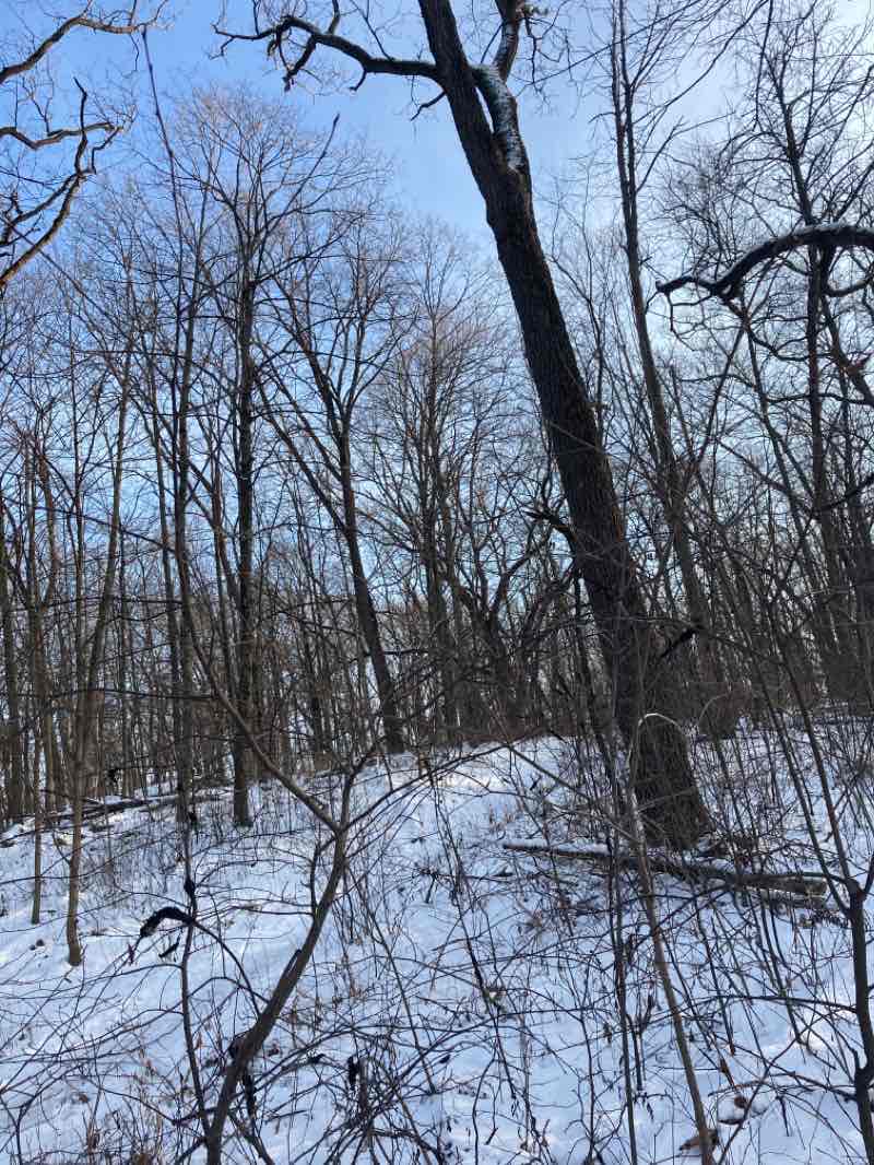 walking near me in Bicentennial Riverfront Park in winter