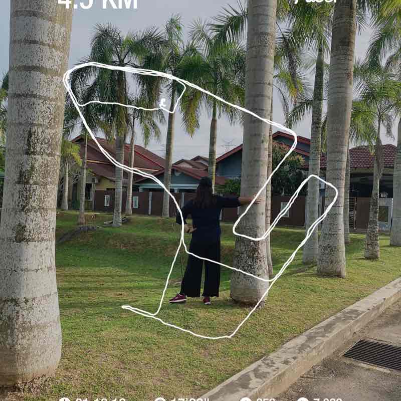 Samantha sunflower post 1