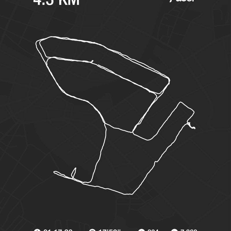 Samantha sunflower post 1