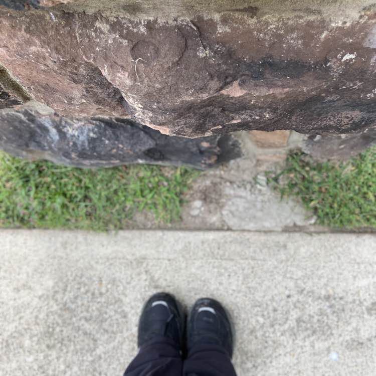 amalia.harvath post 2