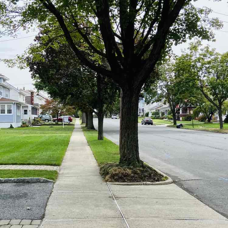 amalia.harvath post 3