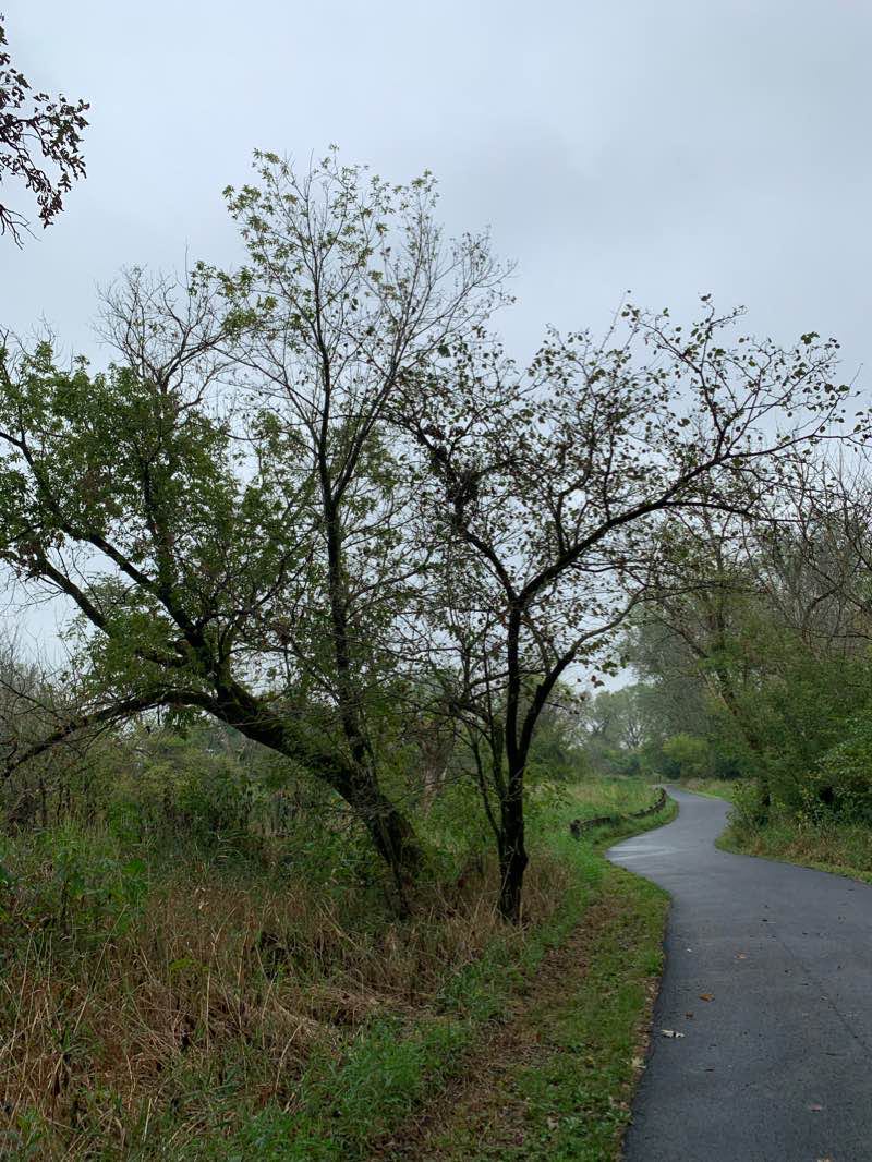 walking near me in Dupage River Greenway in winter