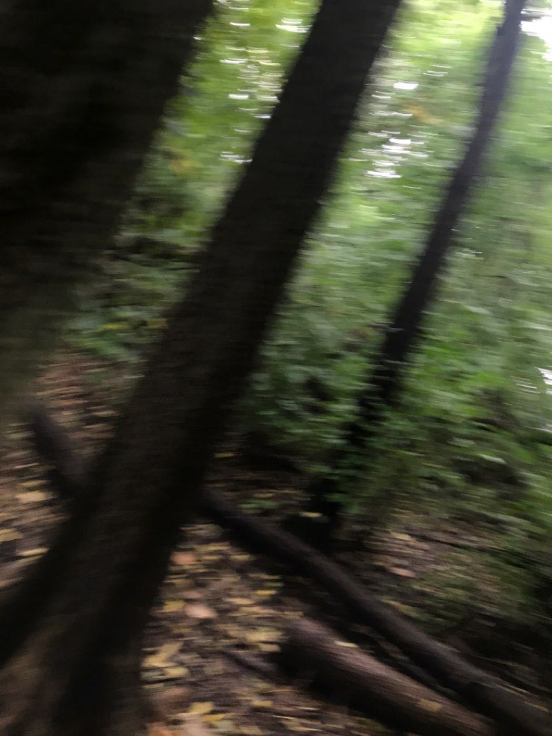 walking near me in Knock Knolls Park in winter