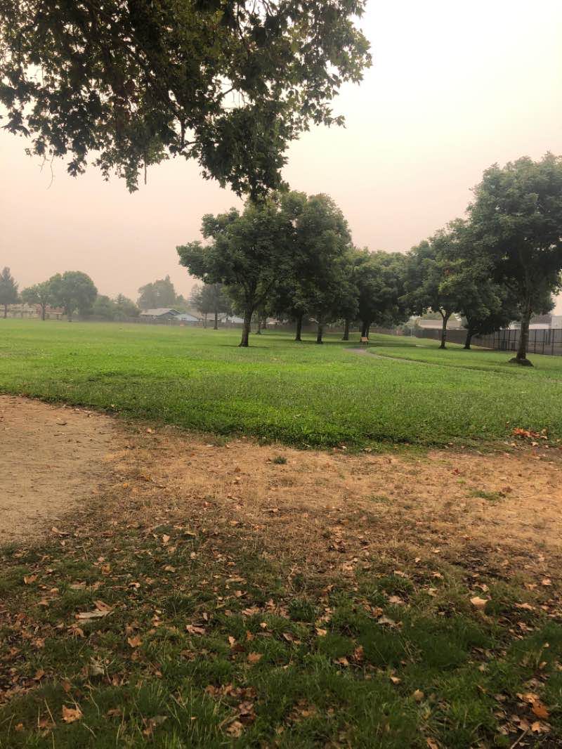 walking near me in O'Brien Park in winter