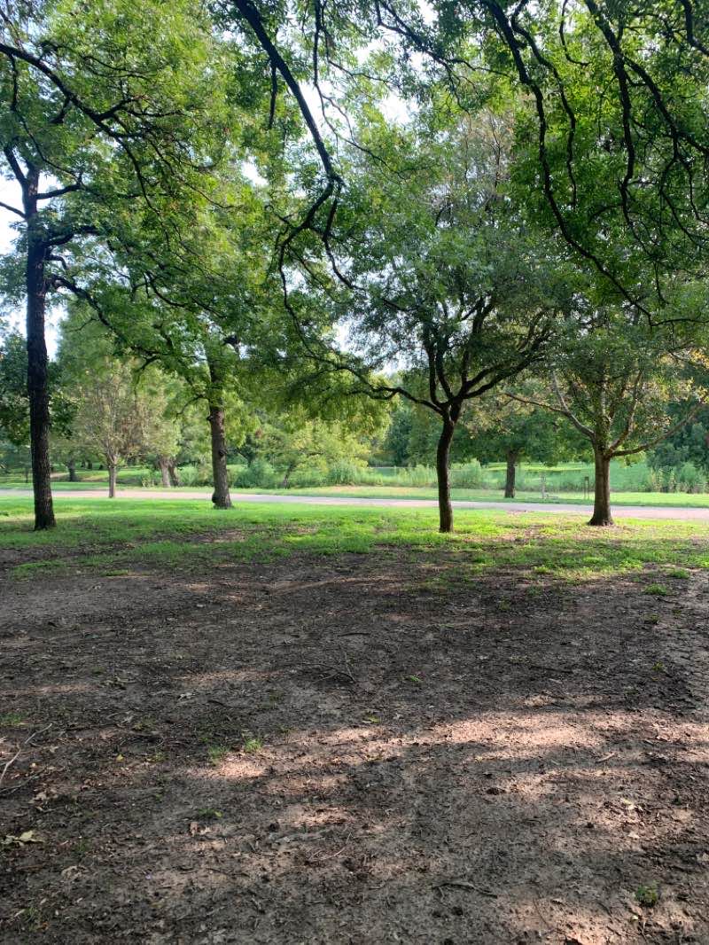 walking near me in Green Brook Park in winter
