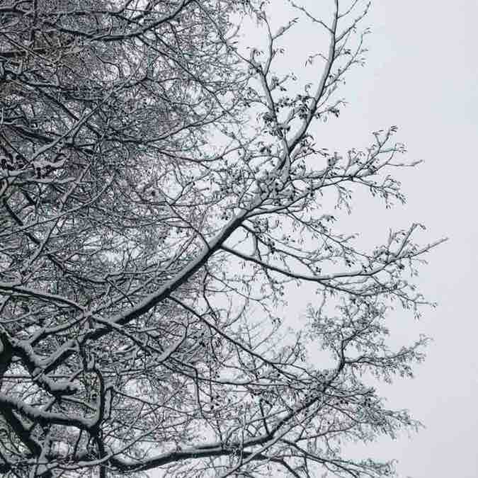 ✨SvetLana✨ post 3