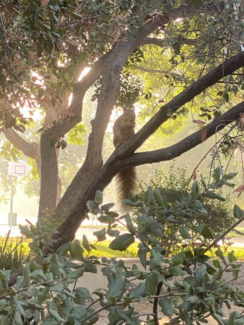 walking near me in Blaisdell Park in winter