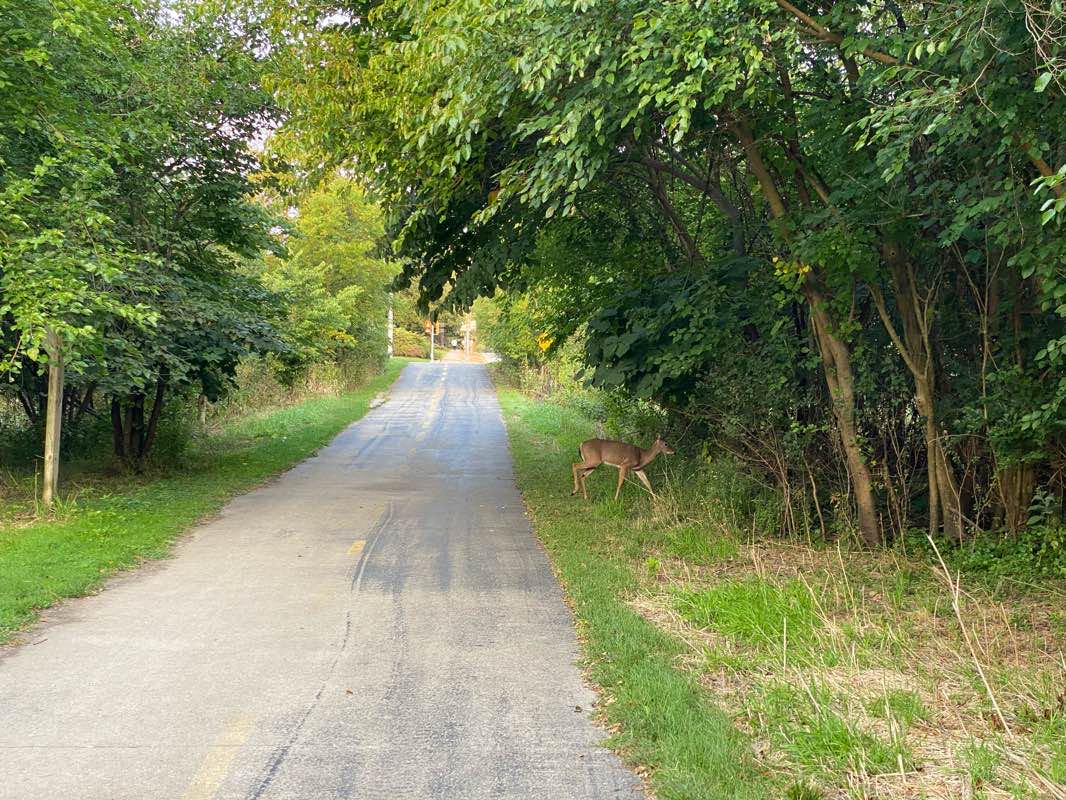 walking near me in Weigand Riverfront Park in winter