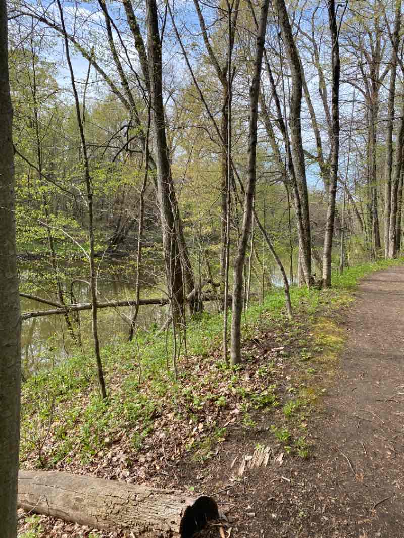 walking near me in Indianfield Township Park in winter