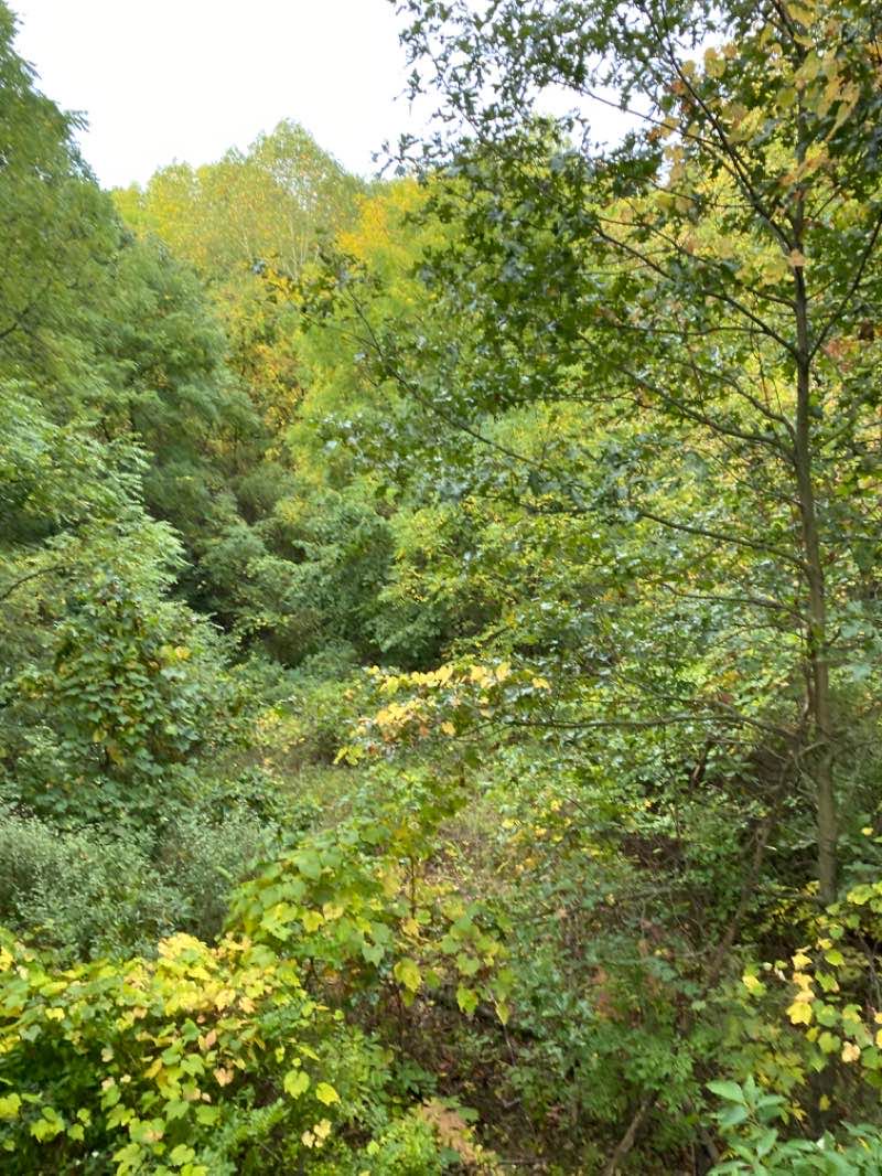 walking near me in Pokagon State Park in winter