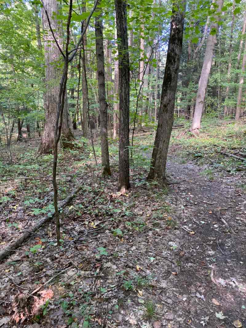 walking near me in Murphy Lake State Game Area in winter