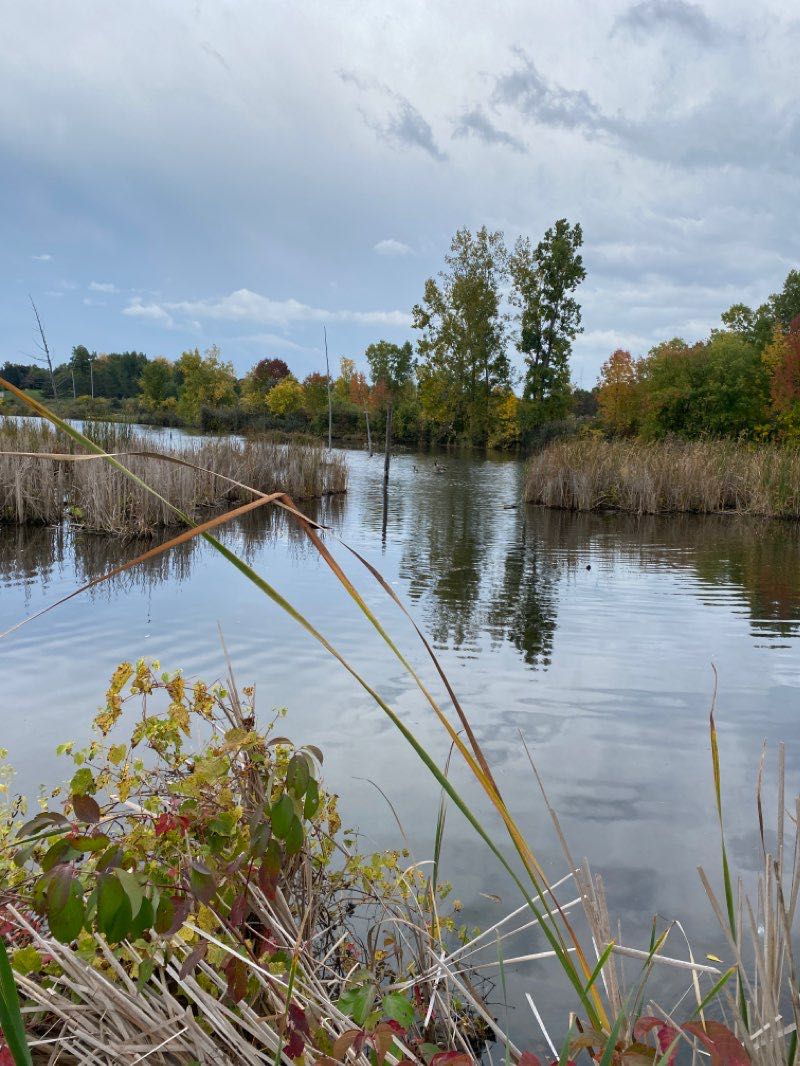 walking near me in Rowden Park in winter