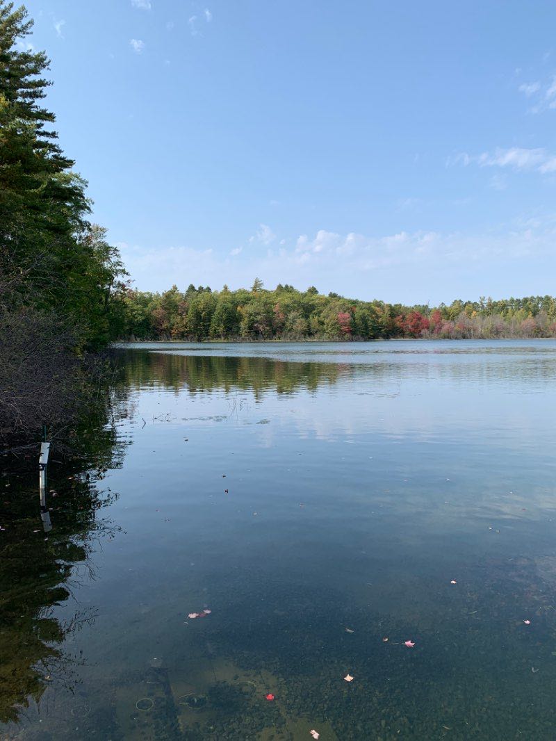 walking near me in Northern Highland American Legion State Forest in winter