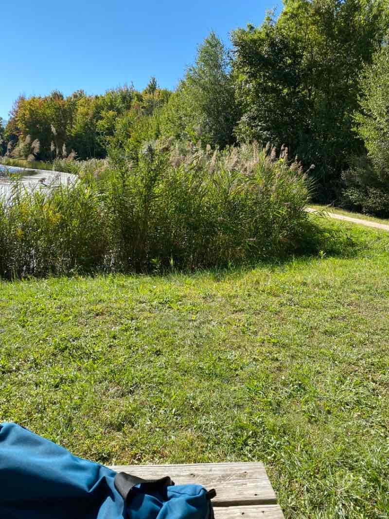 walking near me in Charles E. Sexton Memorial Park in winter