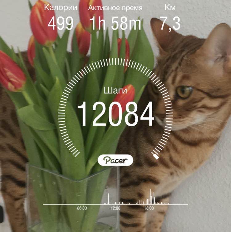 Владимир post 1