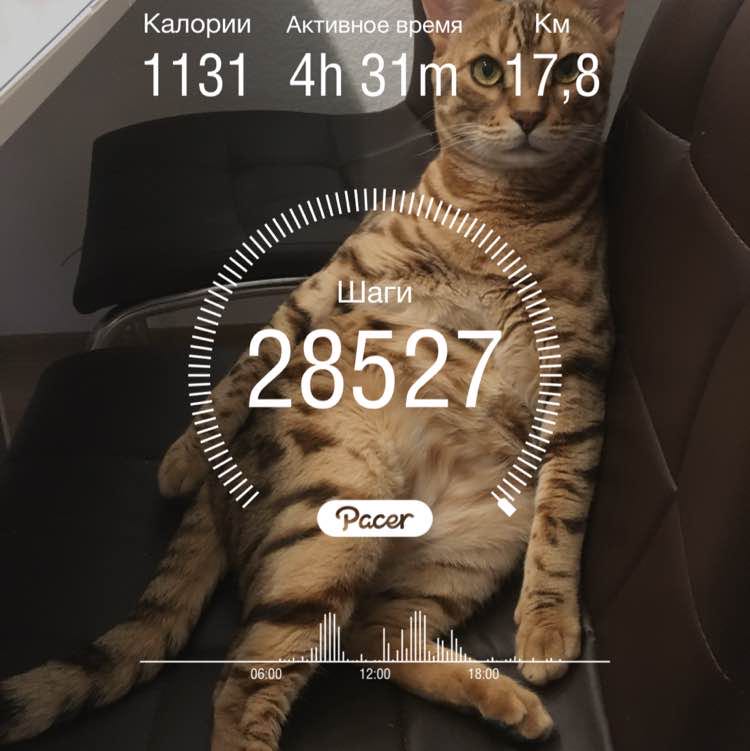 Владимир post 1