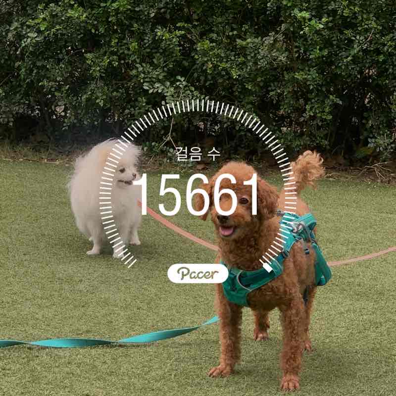 yeon💙🇰🇷🇻🇳 post 1