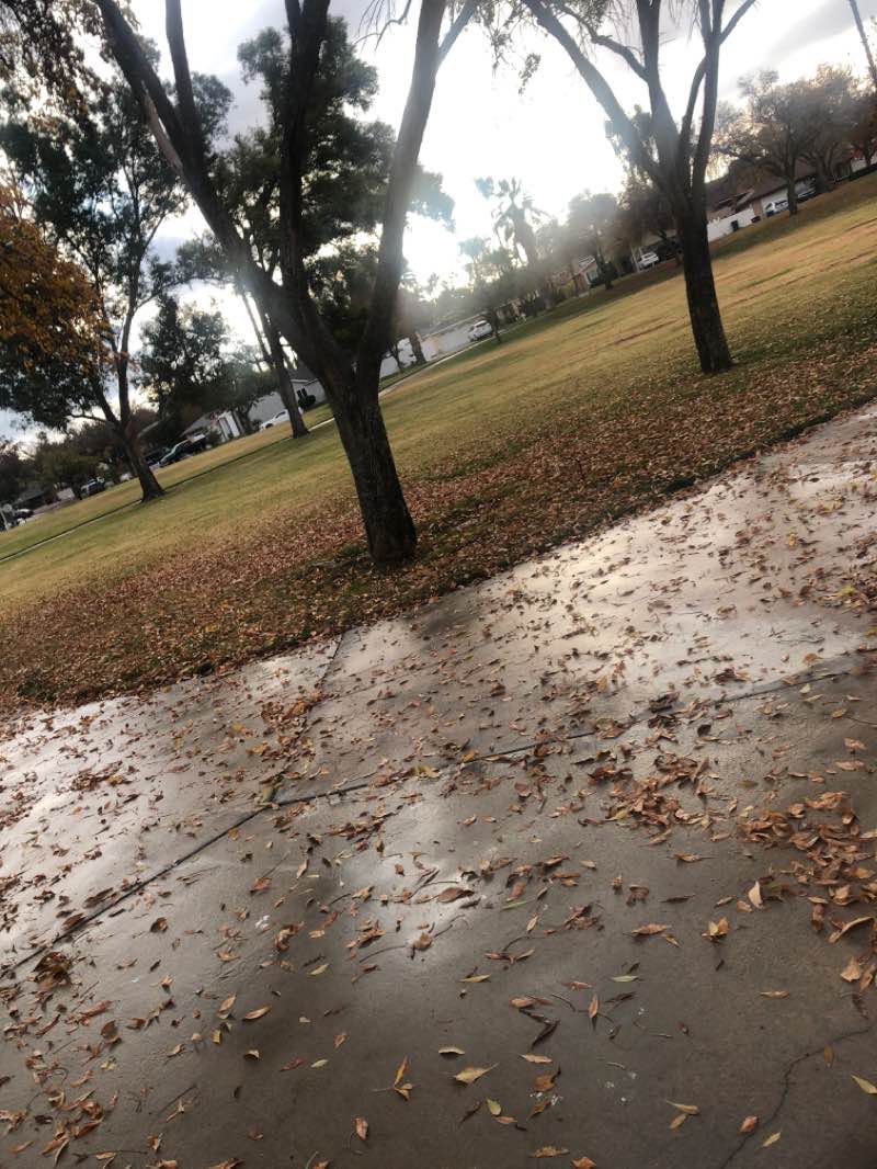 walking near me in Harrison Park in winter