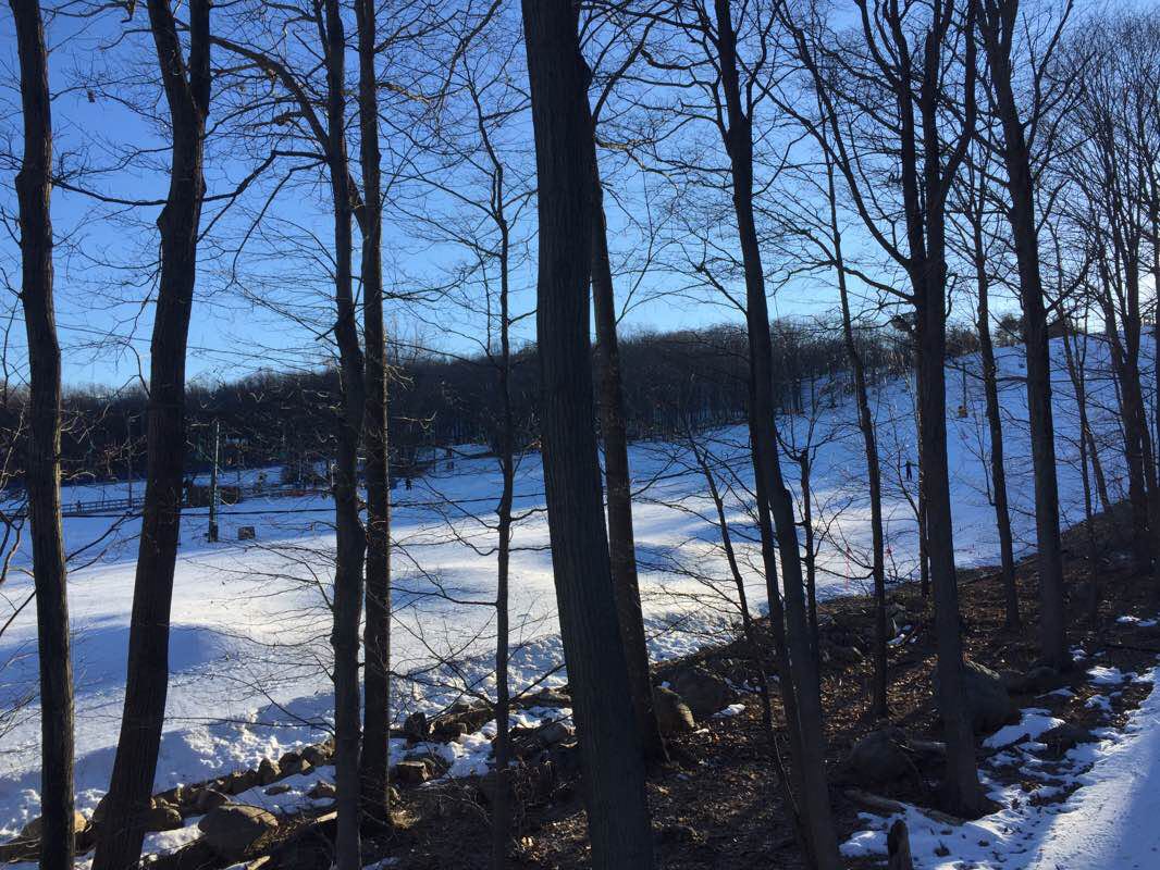 walking near me in Campgaw Mountain Reservation in winter