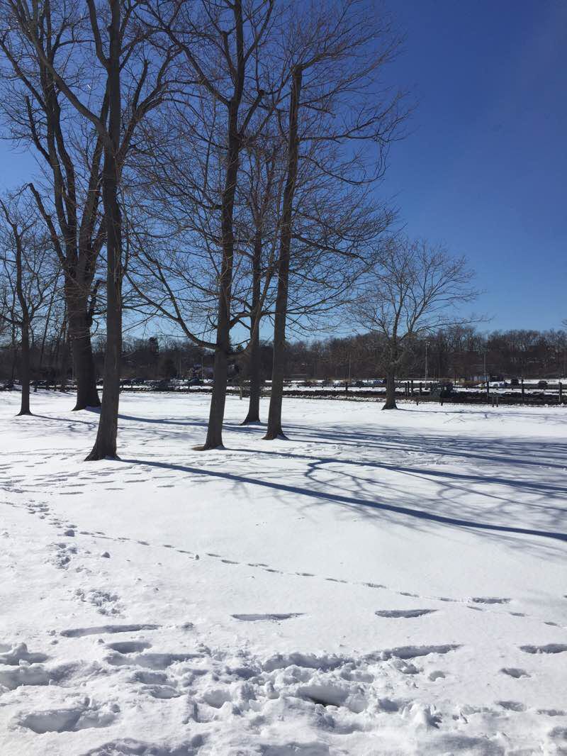 walking near me in Cove Island Park in winter
