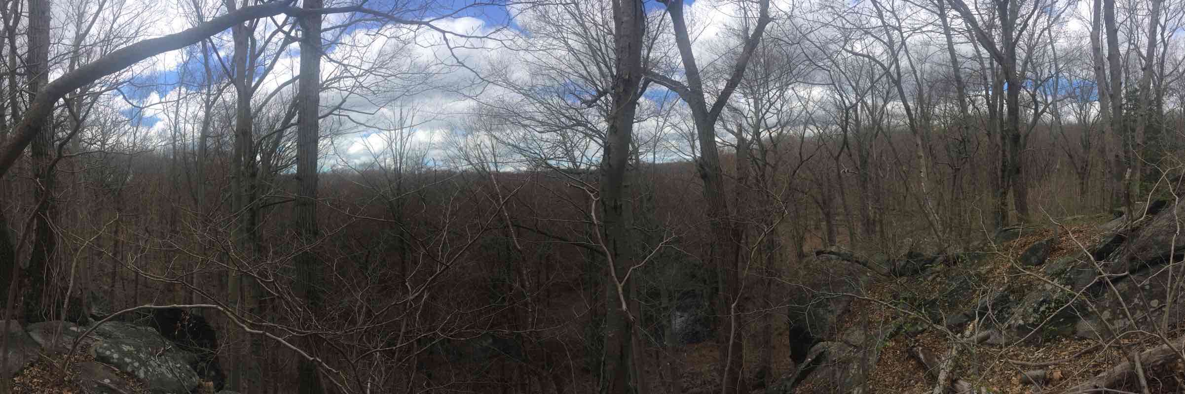 walking near me in Mianus River Park in winter